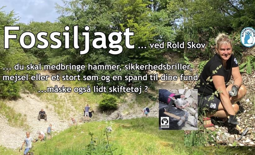 Fossiljagt – led efter fortidens skatte. (Mest for børn, men alle er meget velkomne)
